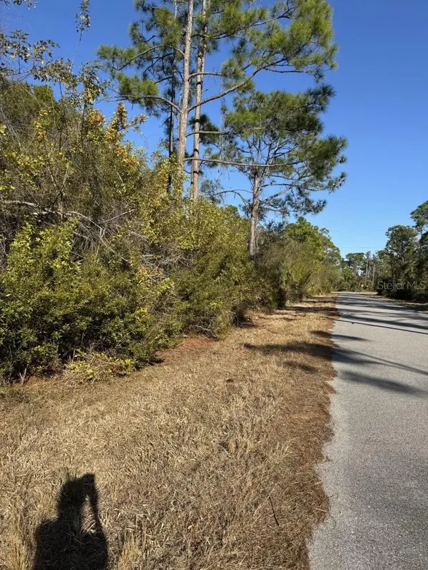 13128 Selzer Avenue, PORT CHARLOTTE, FL 33953