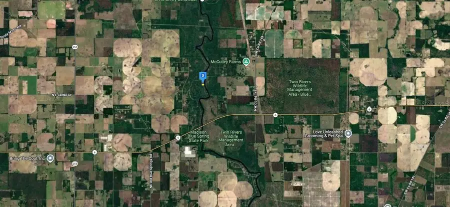 245 NE Edgewater Circle, Lee, FL 32059 - #3