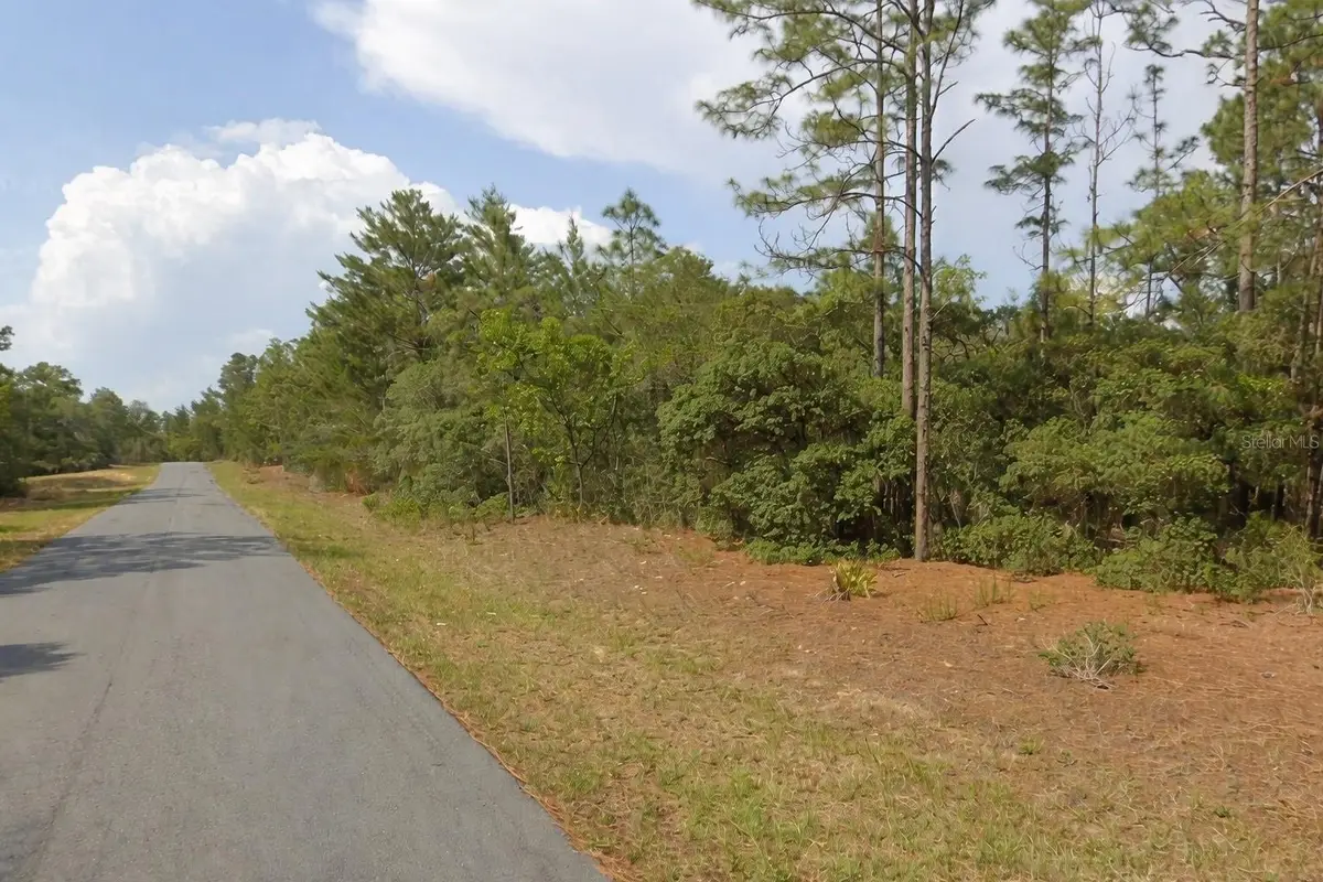 11033 N Trigger Terrace, Citrus Springs, FL 34433 - #1