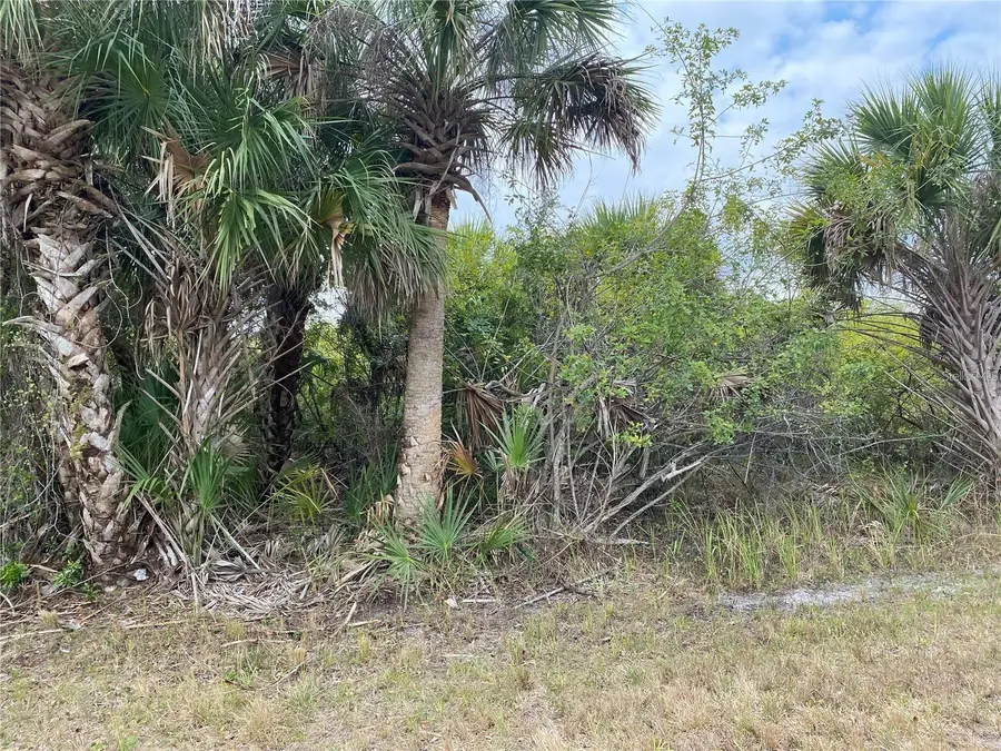 19225 Sherbrooke Avenue, Port Charlotte, FL 33954 - #2