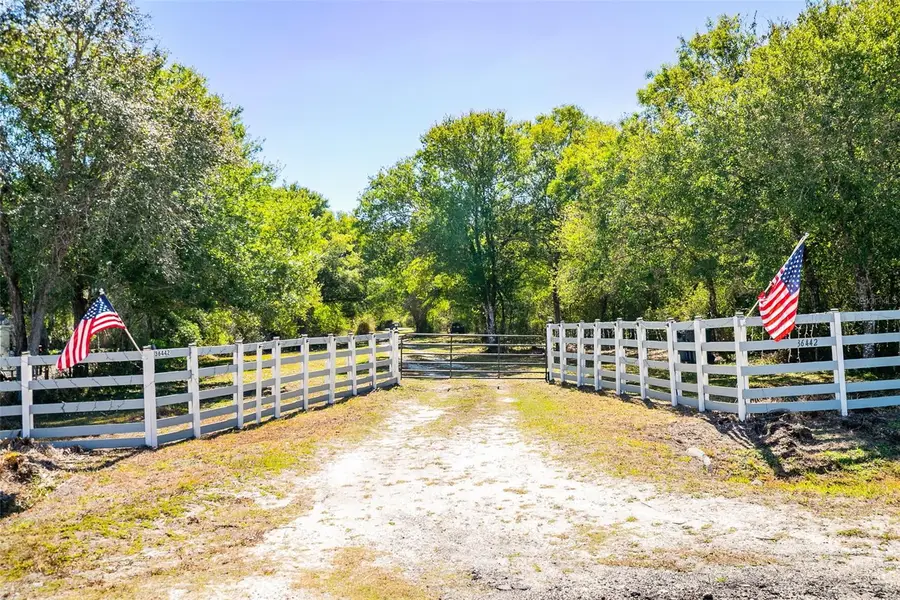 36442 Singletary Road, Myakka City, FL 34251 - #3