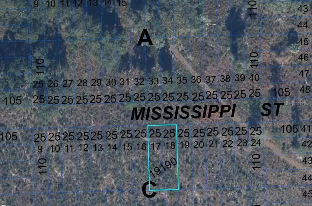 000 Mississippi Street, Hawthorne, FL 32640 - #1