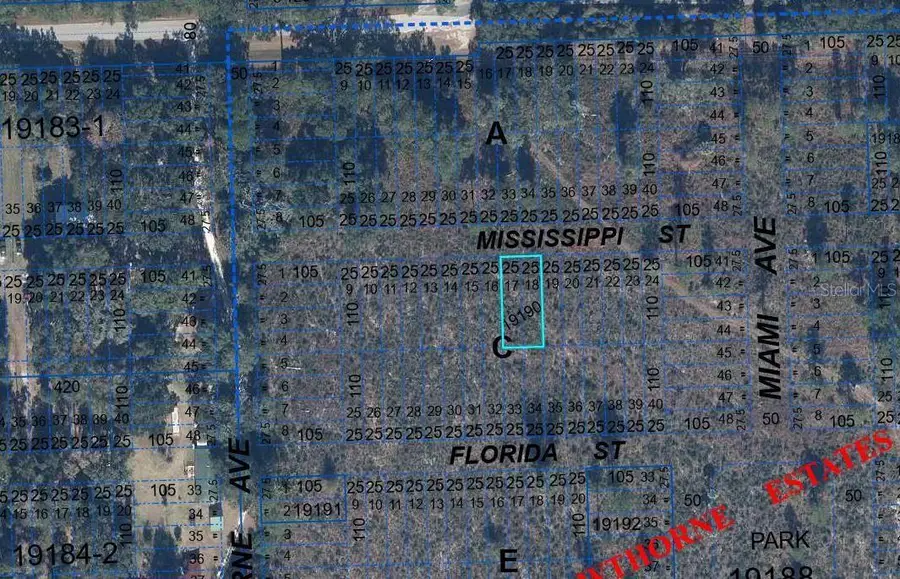 000 Mississippi Street, Hawthorne, FL 32640 - #2