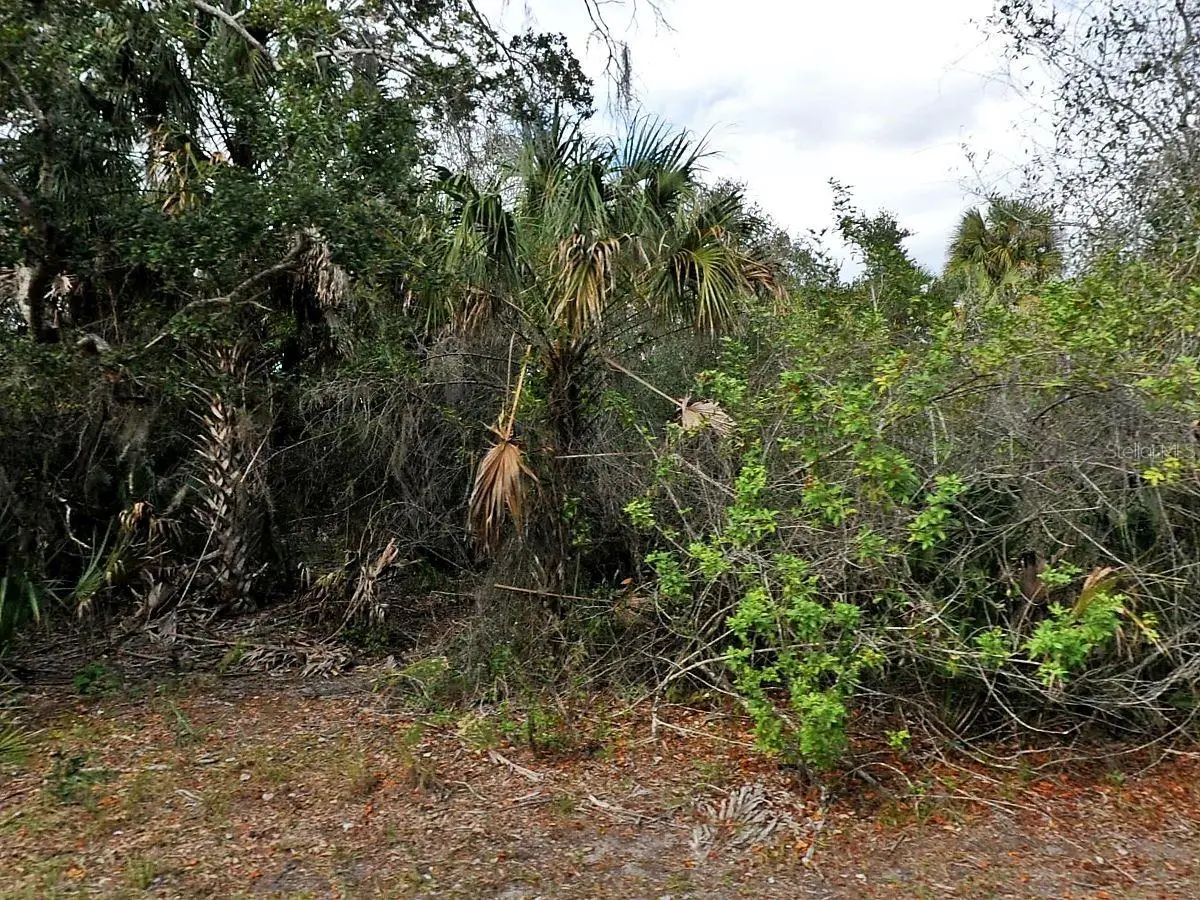 Alfa Terrace, North Port, FL 34286 - #1