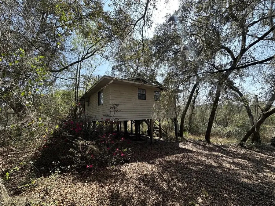 10630 NE 207th Lane, Fort McCoy Anthony, FL 32134 - #2