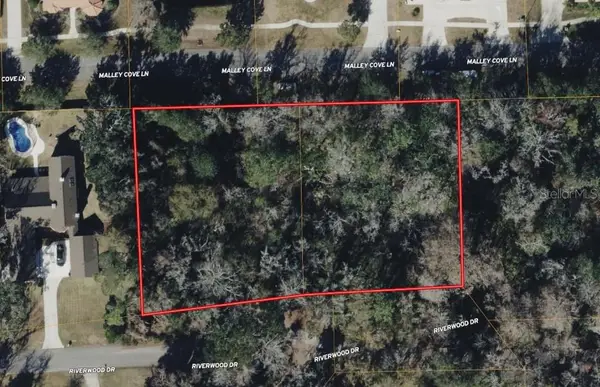 211 Riverwood Drive, FLEMING ISLAND, FL 32003