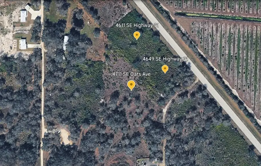 4711 SE Oats Avenue, Arcadia, FL 34266 - #3