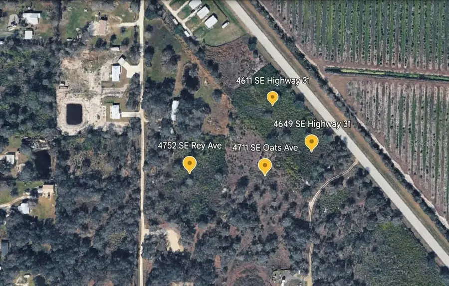 4752 SE Rye Avenue, Arcadia, FL 34266 - #3