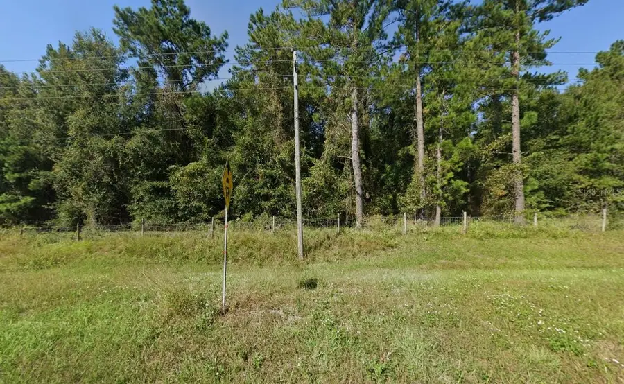 4832 NE County Road 1469, Hawthorne, FL 32640 - #2