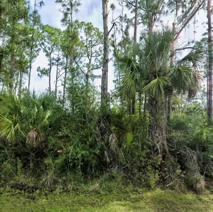 Lot 17 Donatello Avenue, North Port, FL 34286 - #3