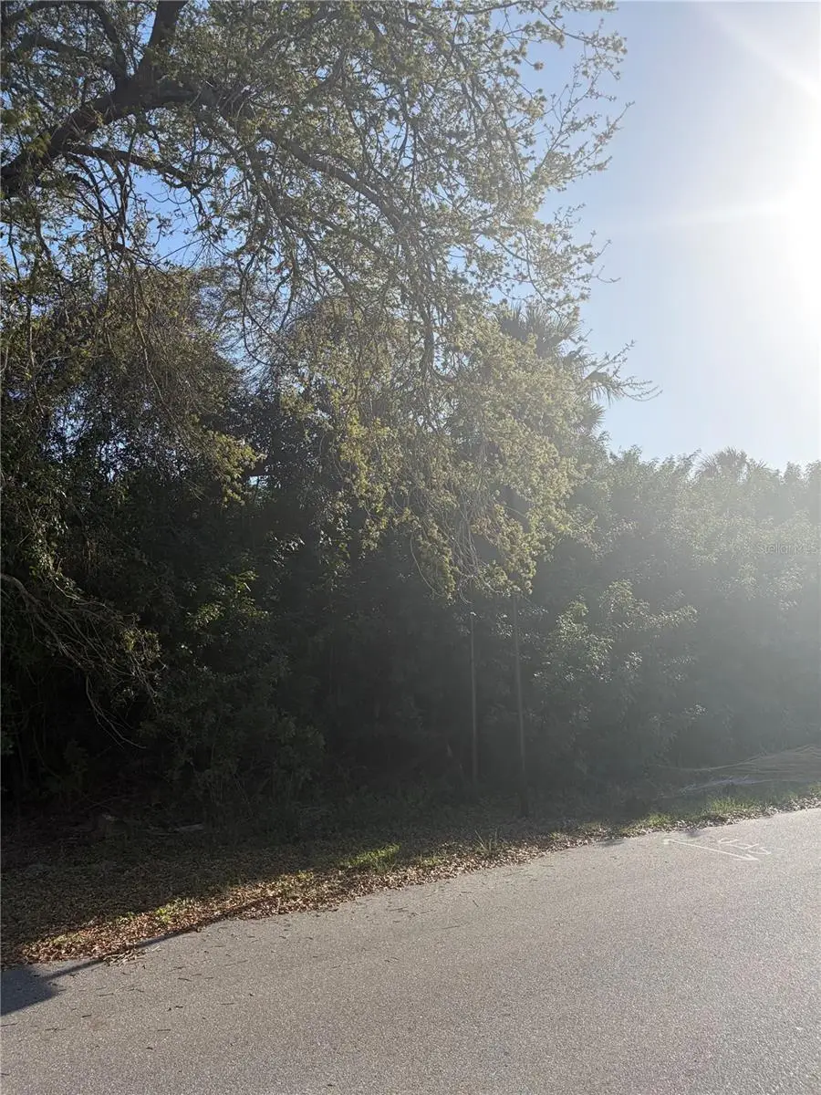 14491 Ransom Avenue, Port Charlotte, FL 33953 - #3