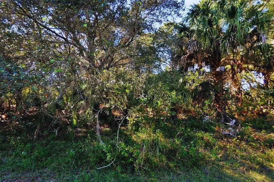 Fafton Street, North Port, FL 34288 - #2