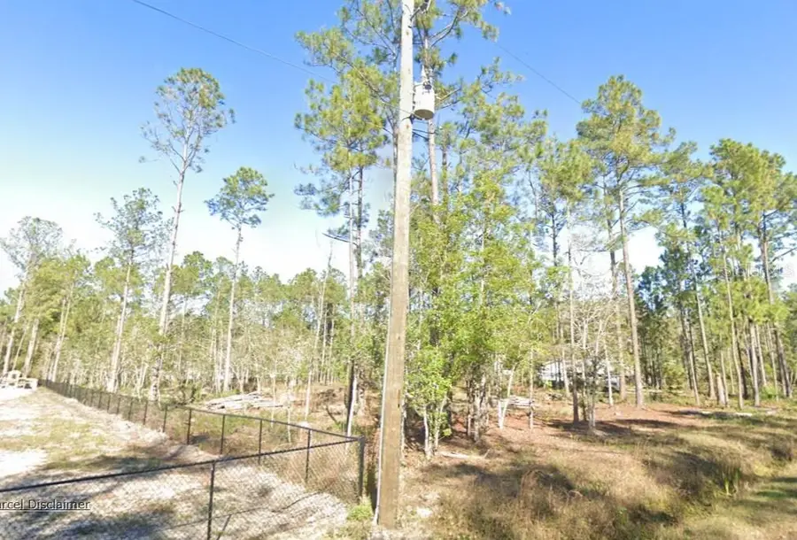 4335 Theresa Street, Hastings, FL 32145 - #2