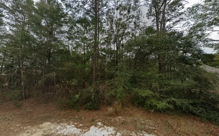Timber Wind Drive, Defuniak Springs, FL 32433 - #2