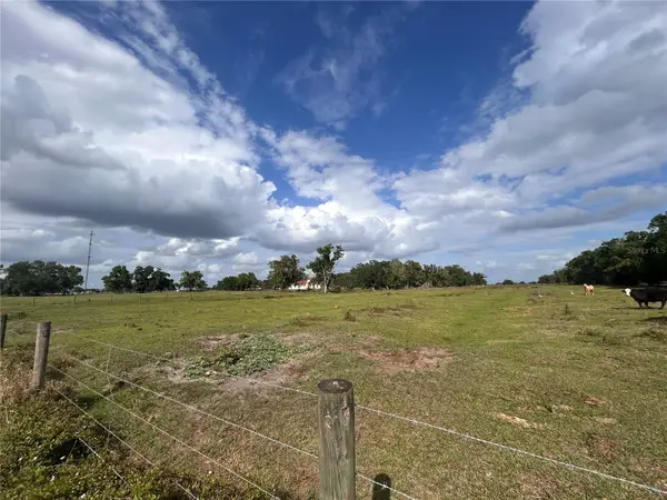 Washington Street, ARCADIA, FL 34266