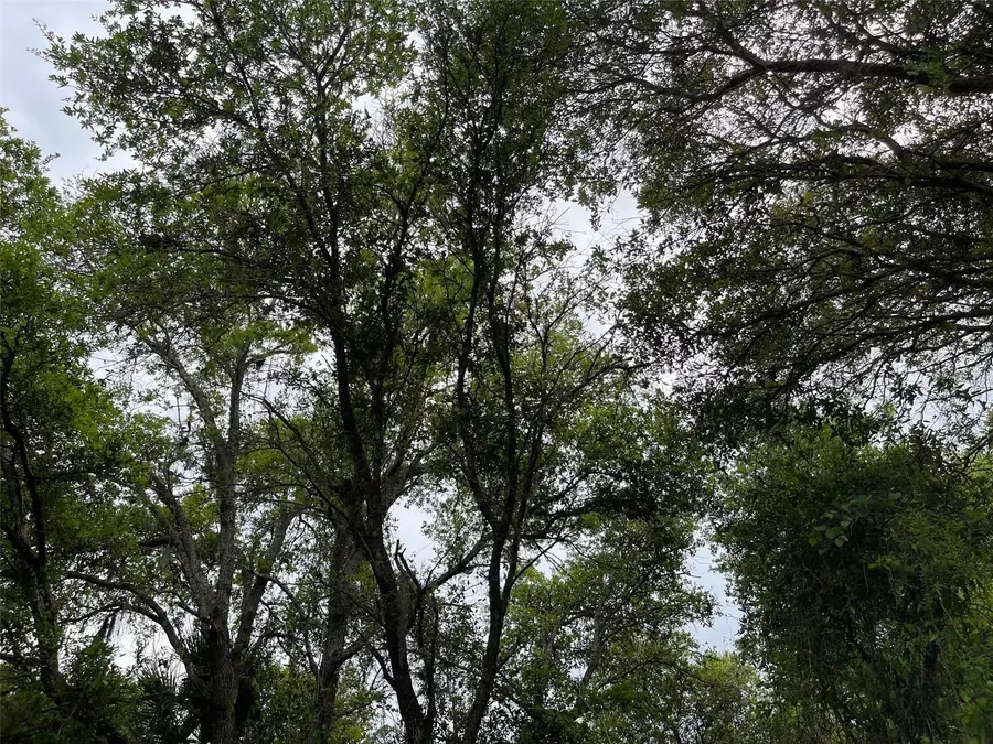 Lot 15 Ananas Road, North Port, FL 34288 - #2