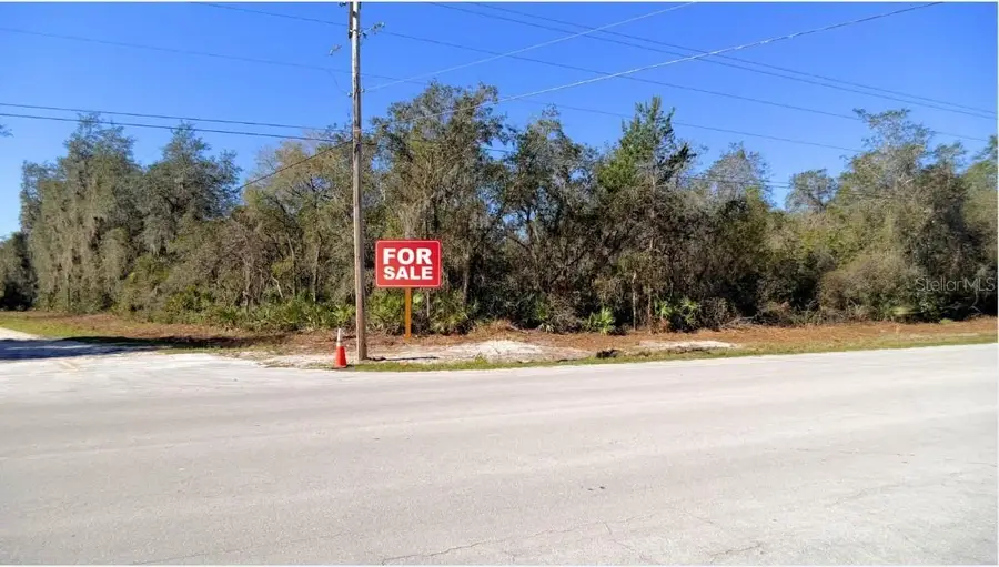 TBD Corner Lot 175th Street Road Ne, Citra, FL 32113 - #3
