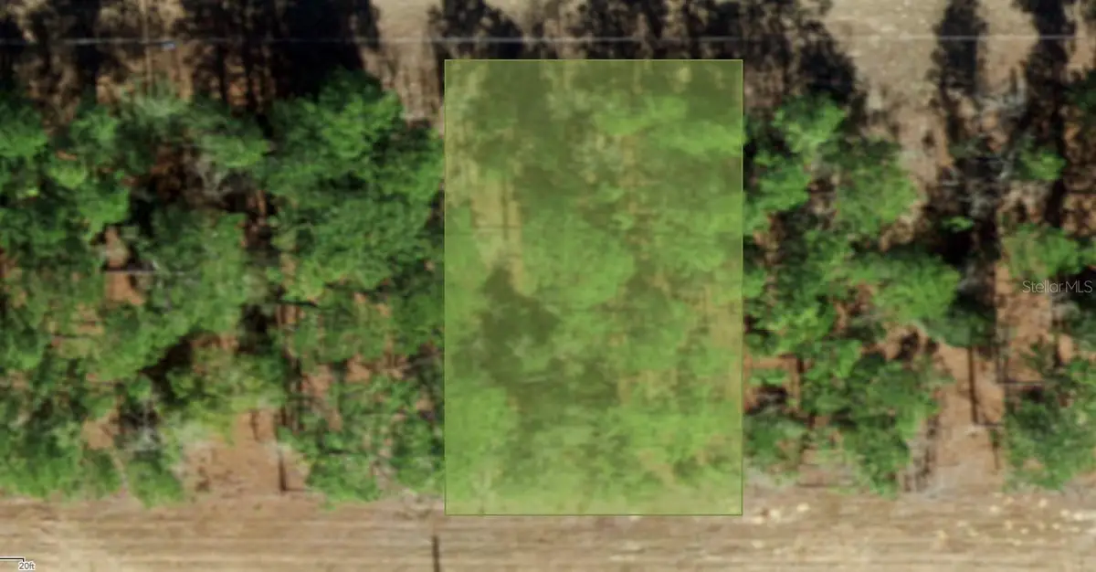 554 W Glenhaven Drive, Citrus Springs, FL 34434 - #1