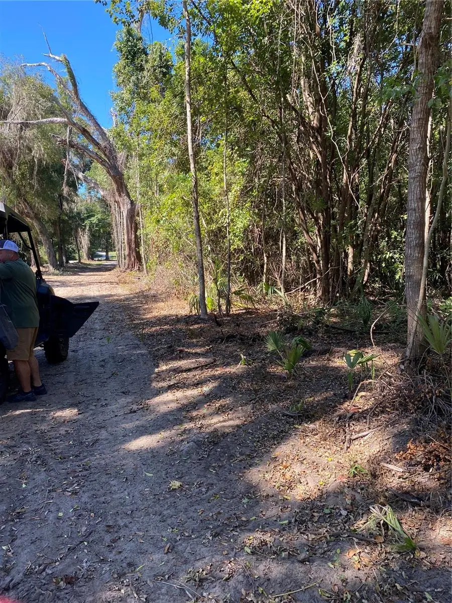 0 NW 185th Street, Citra, FL 32113 - #3