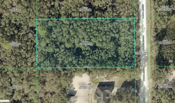 8223 Chimney Rock Drive, WEBSTER, FL 33597