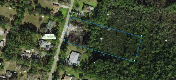 31-25-20-0100-069N0-0000 Olcott Drive, WESLEY CHAPEL, FL 33544