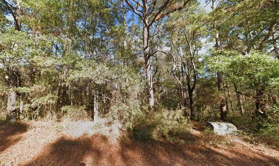 8502 Scott Tower Road, Tallahassee, FL 32312 - #2