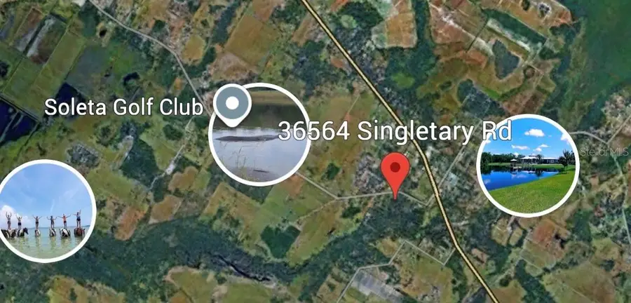 36564 Singletary Road, Myakka City, FL 34251 - #2