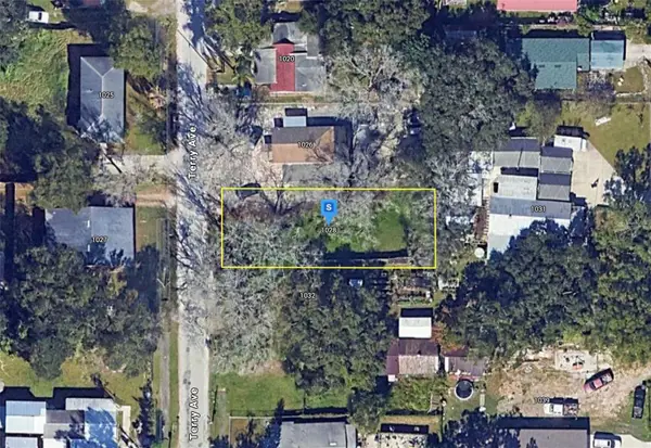1028 S Terry Avenue, LAKELAND, FL 33815