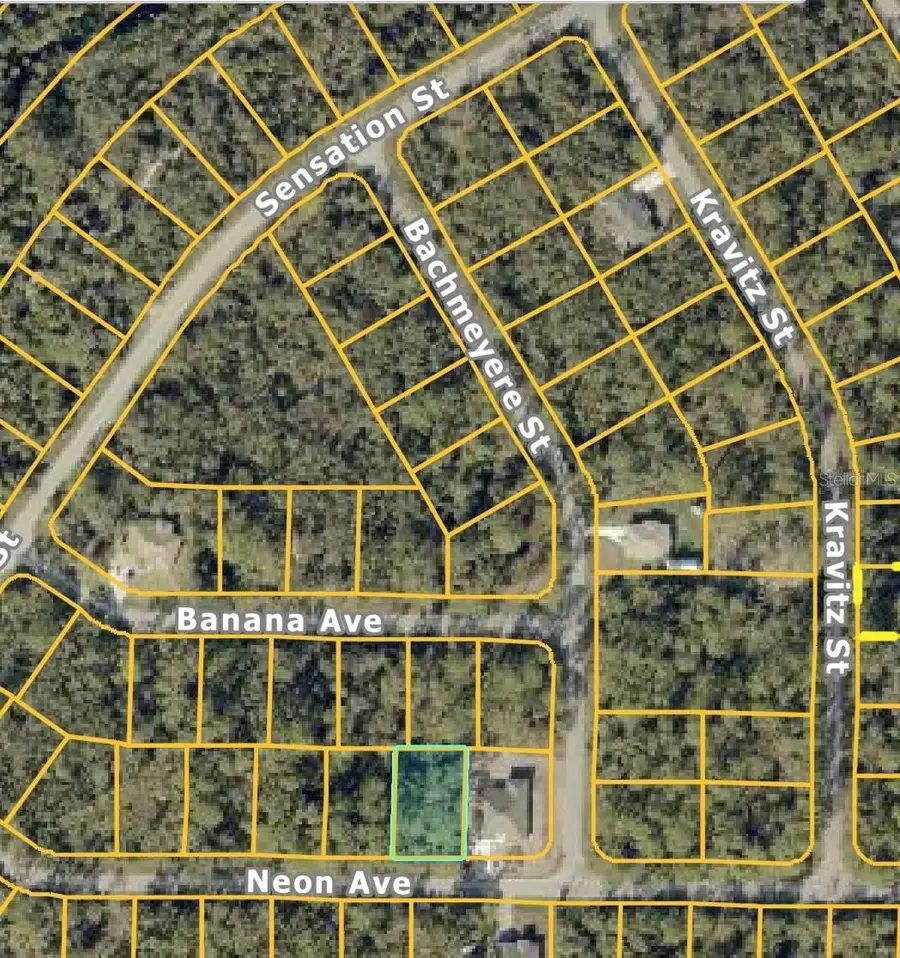 Neon Avenue, North Port, FL 34291 - #2