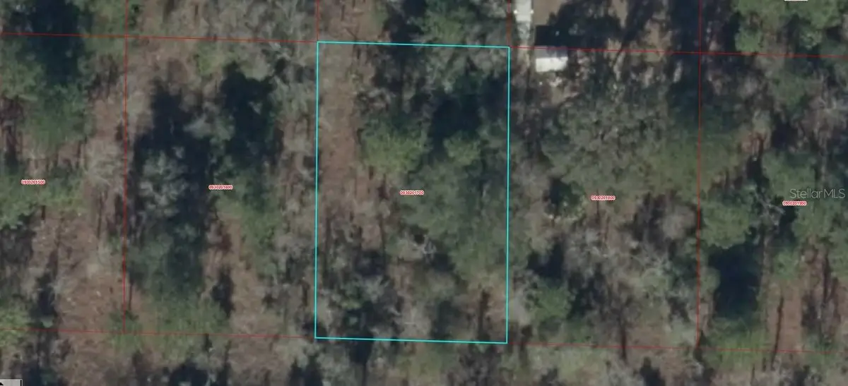 0930201700 NE 16th Lane, Williston, FL 32696 - #1