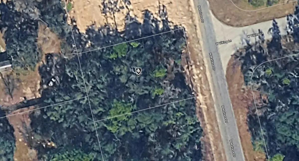 7150 N Maltese Drive, Citrus Springs, FL 34433 - #1