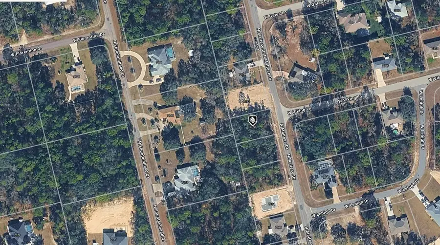 7150 N Maltese Drive, Citrus Springs, FL 34433 - #2