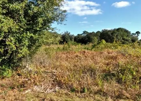 Mattox Circle, North Port, FL 34288 - #3