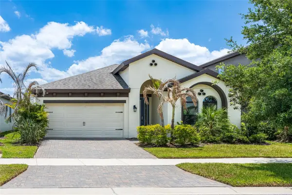 12822 Satin Lily Drive, RIVERVIEW, FL 33579