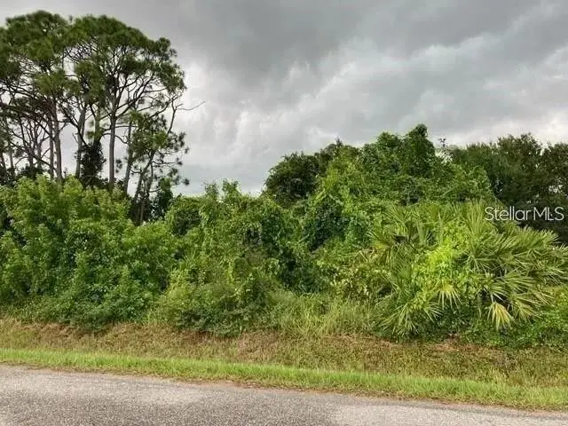 Conrad Road, Venice, FL 34293 - #1