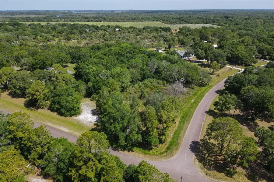 1729 Shenandoah Road, Wimauma, FL 33598 - #2