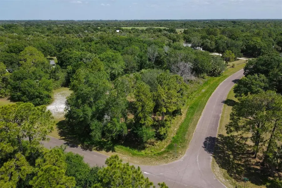 1729 Shenandoah Road, Wimauma, FL 33598 - #3