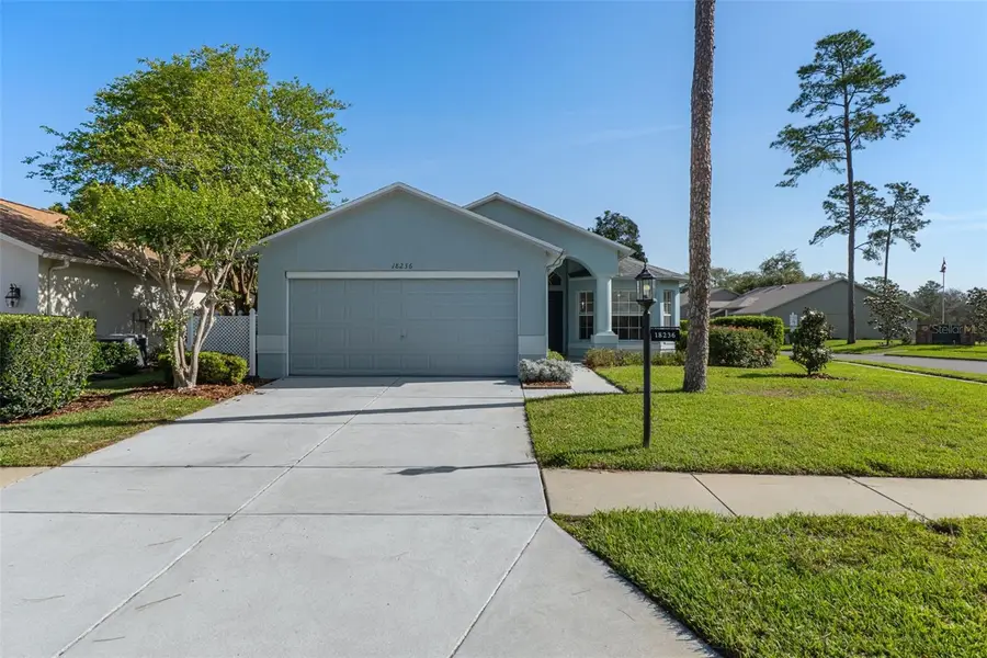 18236 Webster Grove Drive, Hudson, FL 34667 - #2