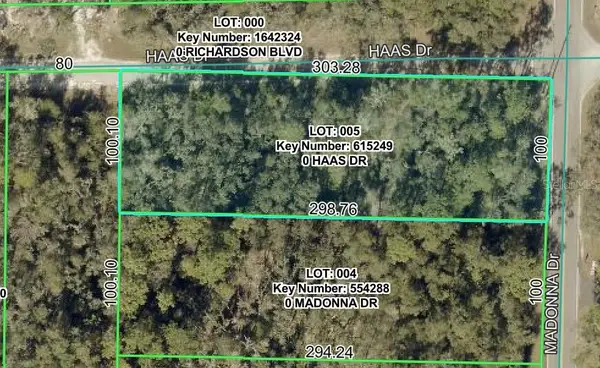 0 Haas Drive, WEBSTER, FL 33597