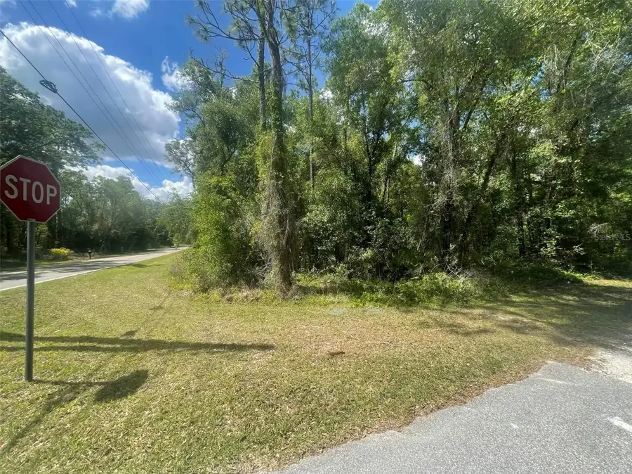 0 Haas Drive, Webster, FL 33597 - #3
