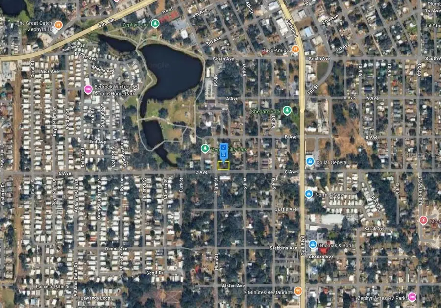 4800 Plum Street, Zephyrhills, FL 33542 - #3