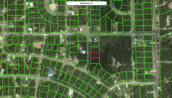 Fisher Trace Trail, OCKLAWAHA, FL 32179