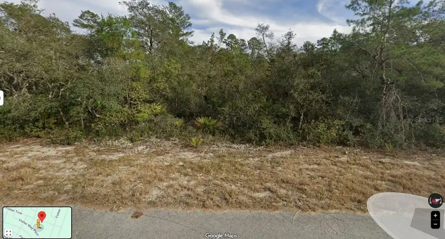 Fisher Trace Trail, Ocklawaha, FL 32179 - #2