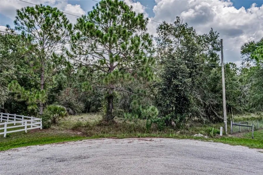 401 Indian Meadow Court, Wimauma, FL 33598 - #3