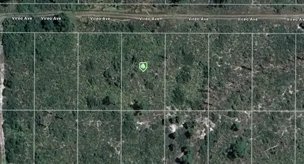 222 Vireo Avenue, SEBRING, FL 33870