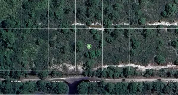 732 Quail Avenue, SEBRING, FL 33870
