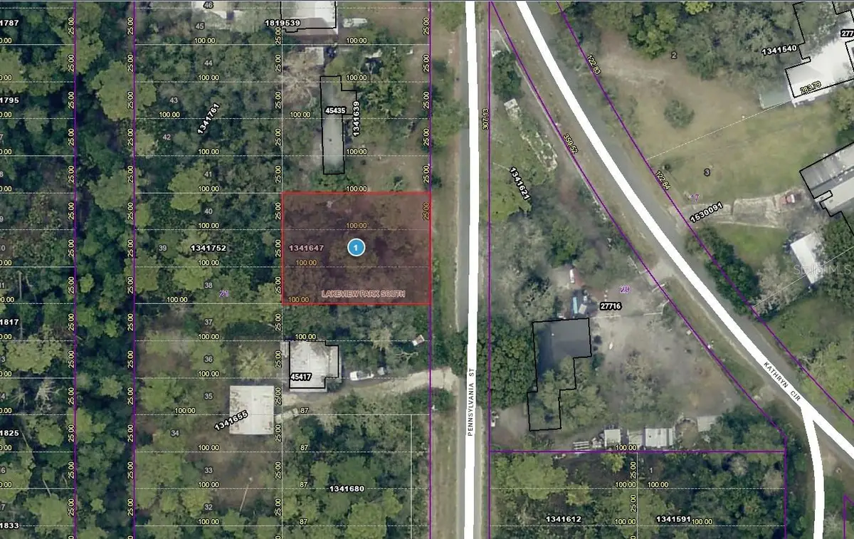 15-17-28-0100-021-00900 Pennsylvania Street, Paisley, FL 32767 - #1