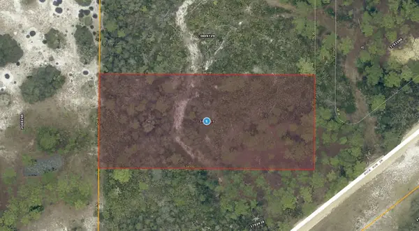28-17-28-0004-000-03100 Buck Run Drive, PAISLEY, FL 32767
