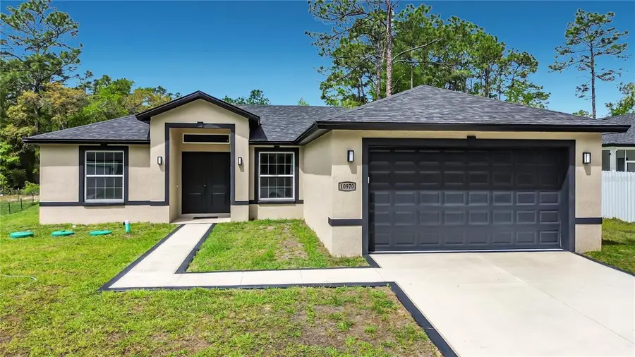 10970 N Dragonis Drive, Citrus Springs, FL 34433 - #2