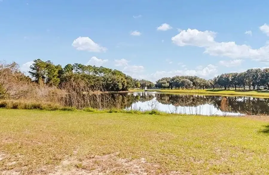 9901 Santa Barbara Court, Howey In The Hills, FL 34737 - #3